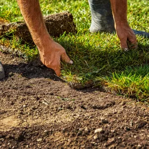 Flipcard Icon Frame 5