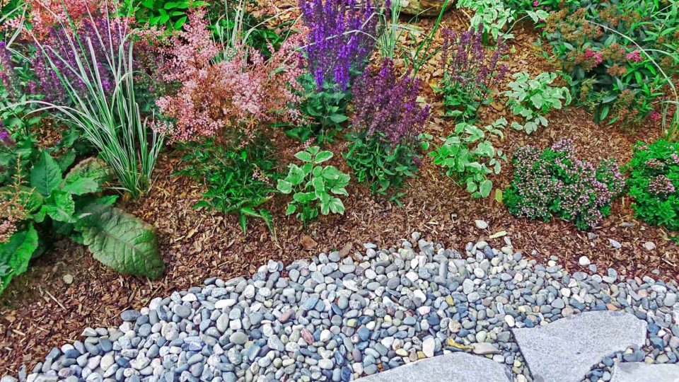 Backyard Garden Modern Designed Landscaping. Decorative Garden Design. Back Yard Lawn And Natural Mulched Border Between Grass, Plants And Pebble, Gravel Or Stone Walk Path.